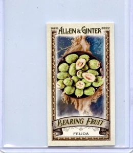 2022 Topps Allen and Ginter Mini Bearing Fruit #BF8 Feijoa - Picture 1 of 1