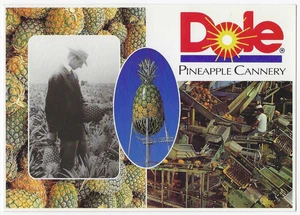 Dole Pineapple Cannery Postcard Honolulu Hawaii - Picture 1 of 2