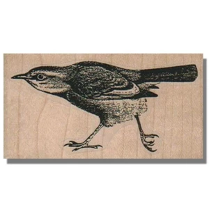 Mounted Rubber Stamp, Walking Bird, Wildlife, Animal,Birds,Nature,Swallow,Thanks - Picture 1 of 2
