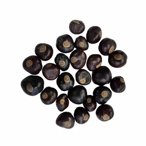 25 Buckeye Nuts Dried 2023 Crop / Dime To Quarter + Sizes / Buy More & Save - Picture 1 of 2