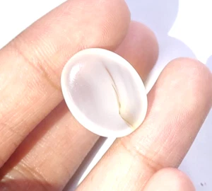 Pietra Preziosa Naturale 14,10 Ct SPLENDIDA YEMENI Colore Bianco Sciolta LASTRE DI AGATA - Foto 1 di 8