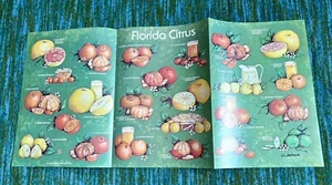 A Palm Beach Life Nature Guide by Gene Joyner, Art by Jeff Jackson, 12”x9”folded - Picture 1 of 5