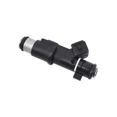 Petrol Fuel Injector for Peugeot 206 307 406 407 607 806 807 Expert Citroen 2.0 — 第 1/4 张图片