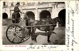 NEW ORLEANS, LOUISIANA - MANN FÄHRT PFERDEMILCHWAGEN - UNGETEILTE POSTKARTE - Bild 1 von 2