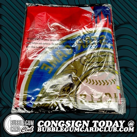 Angels Baseball All Star Game 2010 Banner Flag - Brand New! Cover