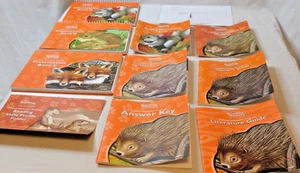 SRA Reading Mastery Signature Edition Grade 1 Presentation Book Set A-C - Picture 1 of 13