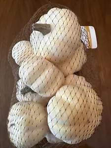 NEU 9 kleine weiße Kürbisse Thanksgiving Herbst Halloween Dekor Füller Ashland - Bild 1 von 2