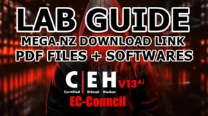 Certified Ethical Hacker (CEH) v13 - Self Study Labs (PDF+Softwares) No Videos - Picture 1 of 4