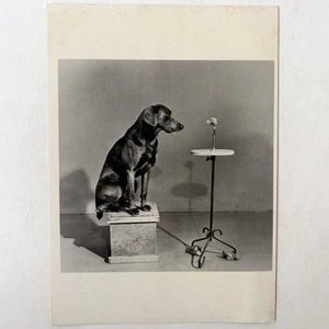 William Wegman Hombre Ray Busto Contemplador Arte Vintage Fotografía Postal Impresión - Imagen 1 de 2