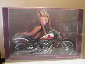 Póster vintage Varo-o-o-o-o-omm Harley Davidson 1987 Silvermoon 22105 - Imagen 1 de 7