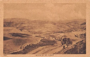 Libanon - Sidon und BergLibanon - Publ. Sarrafian Bros. 1009 - Liban - Sidon - Bild 1 von 2