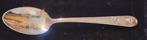 JAMES MONROE DOCTRINE WM ROGERS AMERICA FOR AMERICANS SILVER PLATE SPOON 6" - Picture 1 of 6