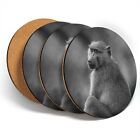 4 x Coasters  - BW - Wild Olive Baboon Monkey Ape  #42473