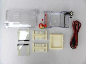 27022 Horizontal Electrophoresis Tank High School Biological Equipment 122-3122 - Afbeelding 1 van 4
