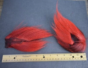 Lot # 3, Dyed Red Deer Buck Tail Pieces for Fly Tying - Picture 1 of 1