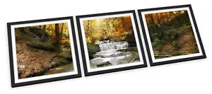 Cascata Foresta Fiume Paesaggio SET STAMPE ARTISTICHE INCORNICIATE Quadro Poster Quadrato - Foto 1 di 5