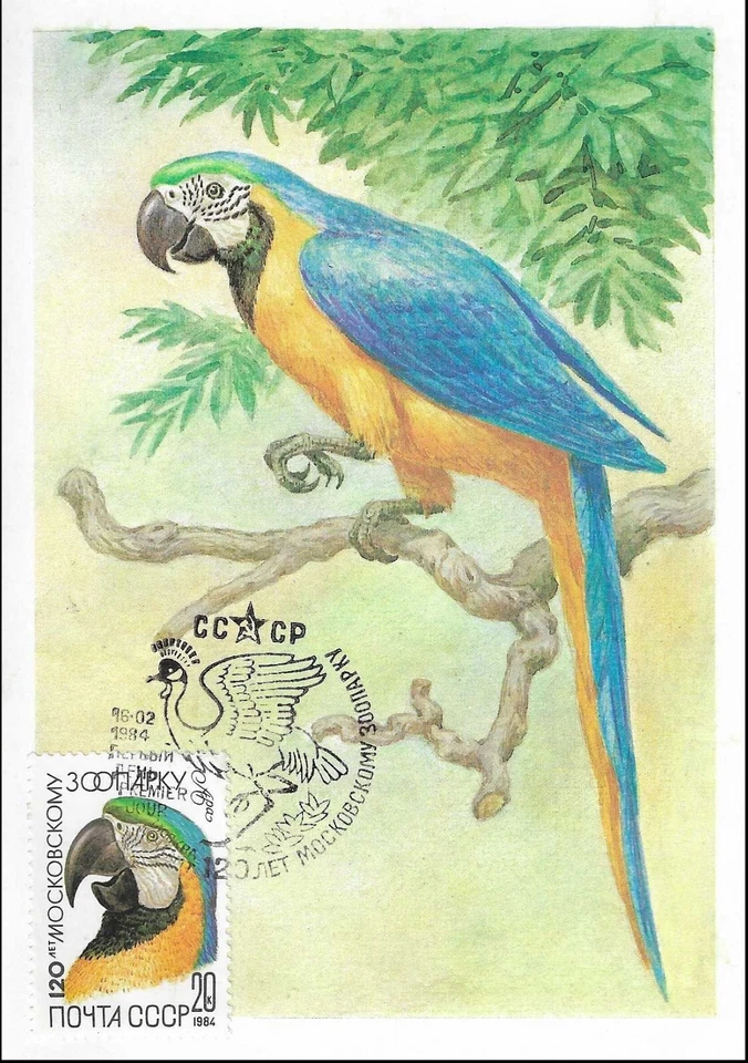 Macaw Ara Blue-and-Yellow One of The Biggest Parrot Russia Mint FDC Maxi 1984 - Image 1 of 1