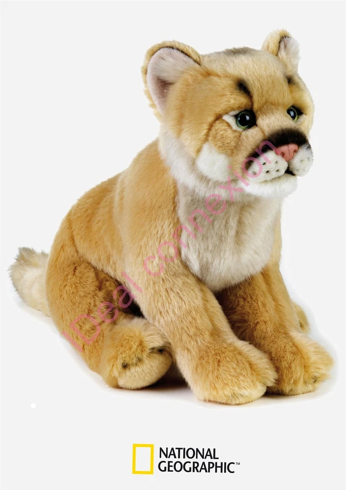 Peluche lion des montagnes National géographic - Bild 1 von 1