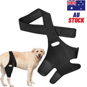 Dog Leg Support Brace Rear Leg Knee Brace Hip Joint Support Dog Leg Brace AU - Picture 1 of 13