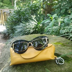 Loewe LW40119I Black Gold Cat Eye Women Sunglasses – Double Frame Designer - Picture 1 of 12