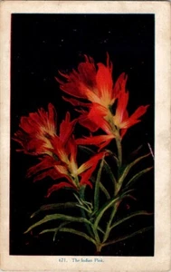 Der Indianer rosa Vintage Postkarte Wpc9 - Bild 1 von 3