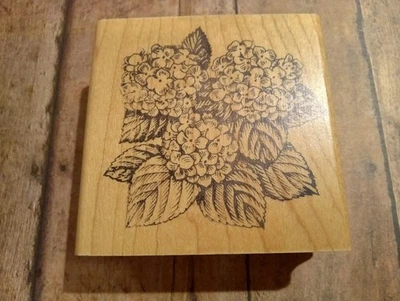 Штамп с цветами гортензия цветочный штамп деревянный штамп гортензия - Изображение 1 из 2