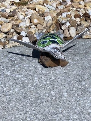 TORTUGA MARINA SOBRE BASE RAÍZ MADERA A LA DERIVA MADERA TALLADA A MANO NÁUTICA Foto 1 de 3