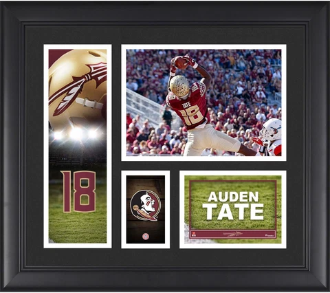 Auden Tate Florida State Seminoles Framed 15" x 17" Player Collage Cover