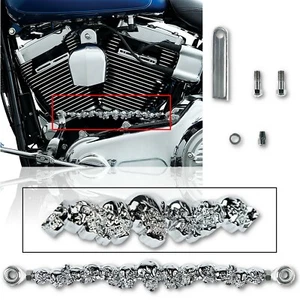 3D Chrome Plated Skull Motorcycle Bike Shift Linkage & Hardware for Harley - Picture 1 of 7