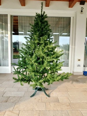 Albero di Natale. Materiale  sintetico; Alto cm. 180,00. Largo cm. 60. 1980 - Immagine 1 di 4