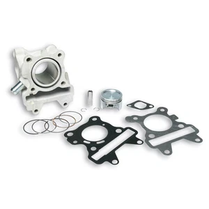 ALU THERMOGRUPPE Ø 44 STECKER 10 MALOSSI YAMAHA AEROX NEO'S ZUMA 50 - Bild 1 von 2