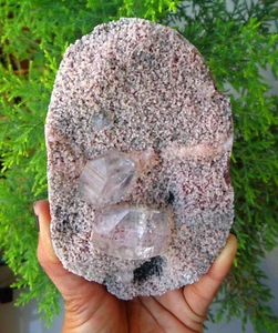 Apophyllite Crystals On Chalcedony Coral Matrix Minerals Specimen #F53 - Picture 1 of 4