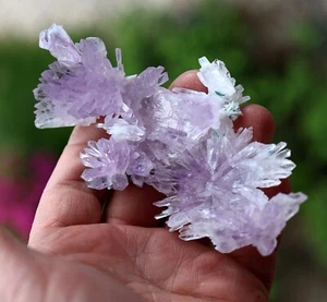 Quartz var. Amethyst Flower from Rio Grande do Sul, Brazil. Pristine condition. - Picture 1 of 9