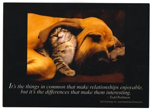 Office Cubicle Decor "It's the Differences that Make Them Interesting" 5" x 7" - Picture 1 of 2