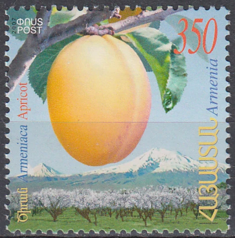 Armenia Apricot 2007 MNH-4 Euro Cover
