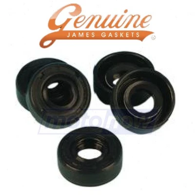James Gasket Clutch Hub Nut Oil Seal for 1983 Harley Davidson FXDG Disc ck Foto 1 de 4