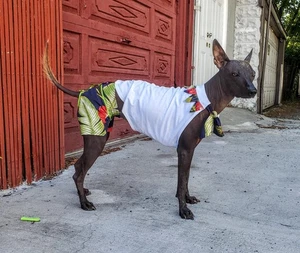 Handgefertigtes tropisches Hunde Outfit Set - Shirt, Shorts & Krawatte, Baumwolle, Medium - Bild 1 von 17