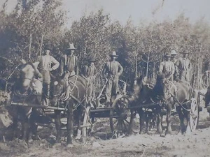 ( FÜNF ) WAGEN / PFERDEZUG - Bild 1 von 5