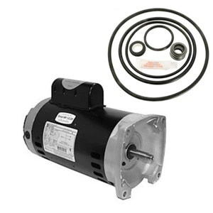 Kit de motor Puri Tech Repl Sta-Rite Dyna-Glass 2 hp MPRA6G-155L USQ1202 con GO-KIT-47 - Imagen 1 de 1