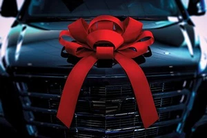 CarBowz Magnetic Happy Birthday Car Bow Large Car Bow Defects Minor Imperfection - Picture 1 of 35