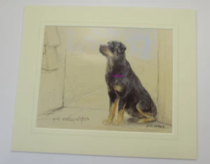 Rottweiler Limited Edition Mounted. Print by Gill Evans Free P & P - Picture 1 of 2