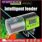 200ML Automatic Fish Feeder Battery Operated LCD Display Fish Food Dispenser (B)