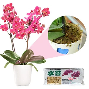 150g Natural Sphagnum Moss Orchid Potting Mix for Orchid Gardening Plants - Imagen 1 de 10