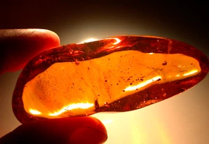 Jumping Spider 15 Insetti in Bellissimo GRANDE Fossile di Ambra Dominicana Gemma 34 grammi - Foto 1 di 17