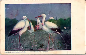 Postal Comparando Notas Cigüeñas con Bebés Sin Publicar - Imagen 1 de 3