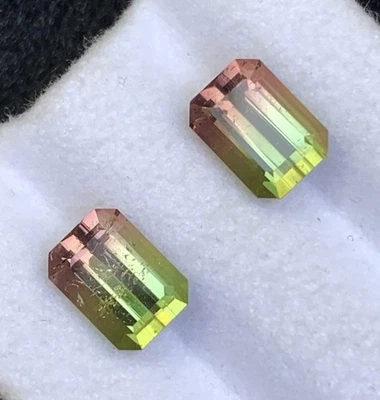 4.21 CRT BicolourWatermelon🍉Tourmaline Pair Natural Earth Mined UnheatedFaceted - Image 1 of 4