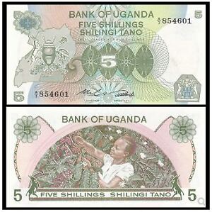 Uganda 5 Shillings 1982 (UNC) 全新 乌干达 5先令 1982年版