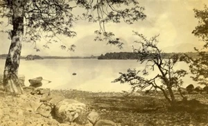 Ireland Lake Killarney Panorama old Albumen Photo 1880 - Picture 1 of 3