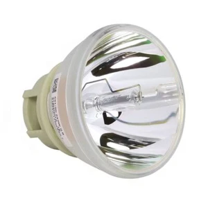 Vivitek 5811116885-SU Philips Projector Bare Lamp - Imagen 1 de 5