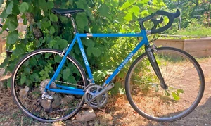 Co-Motion Nor'Wester Co-Pilot Steel Frame Carbon Fork 56cm Bike S&S Couplers - Picture 1 of 24